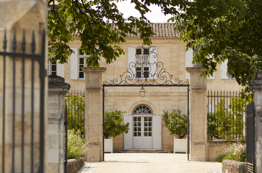 F.V. : " Bordeaux 2021 : entre cuvées célébrissimes et vins confidentiels, nos 15 coups de cœur de Saint-Emilion "