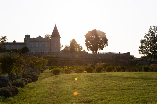 F.V. : " Bordeaux en primeur 2021 : notre sélection des meilleurs vins du millésime en appellation Pauillac "