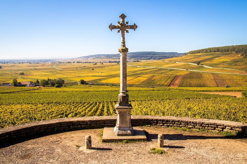 D. : " Demand high for Burgundy 2021 wines, say merchants "