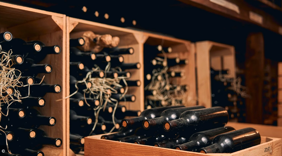 R.V.F. : " Vins de Bourgogne : nouveau record à l'export "