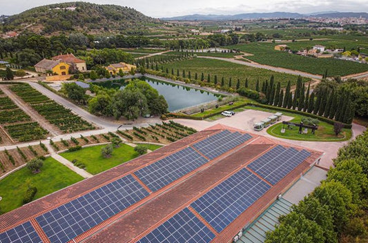 V. : " Torres milite pour un réemploi européen des bouteilles de vin "