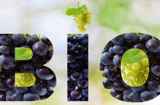 V. : " Cuivre, bilan carbone… Les vins bio répondent aux questions qui fâchent "