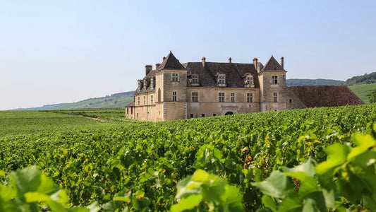 "Château Margaux : les solutions innovantes d’un grand cru classé"