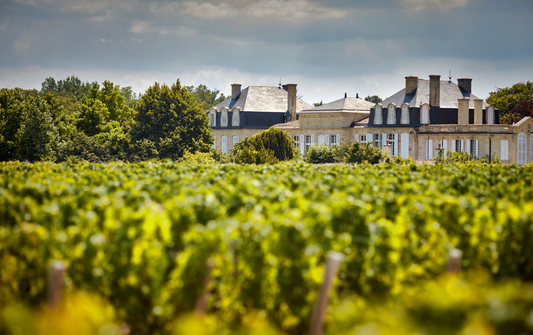 D.B. : "Bordeaux 2022 en primeur: Saint Julien, low yields but ‘excellent’ wine"