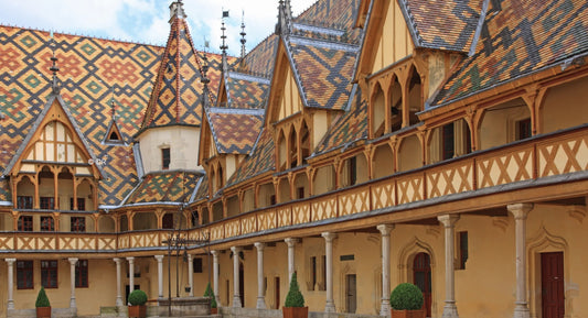 R.V.F. : " Hospices de Beaune : une des plus faibles récoltes de l'histoire du domaine "