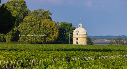 D. : "New stocks of lauded Château Latour 2009 released"