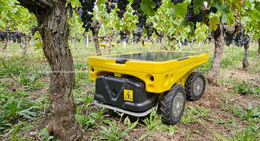 V. : " Vitirover, pour une flotte robotique légère dans les vignes "