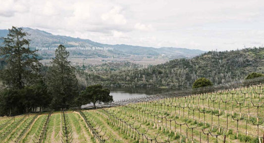 D. : "Napa’s new Crystal Springs AVA approved"