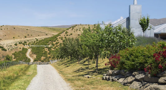 W.I.A. : "New Zealand Winegrowers Launches Roadmap to Net Zero 2050"