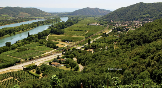 R.V.F. : " Où mangent les vignerons ? Nos 5 plus belles adresses en Vallée du Rhône et Beaujolais "