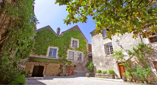 T.V. : " [Nos circuits œnotourisme #29] Bourgogne, autour de Chablis "