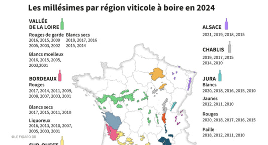 F.V. : " Notre guide infaillible pour connaître les bons millésimes à déguster en 2024 "