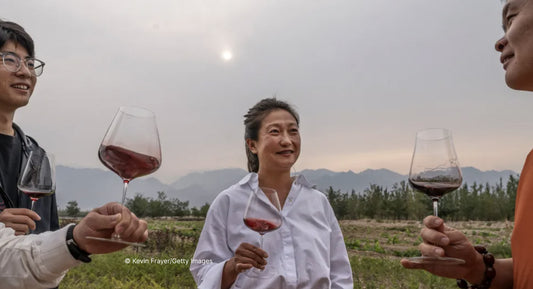 R.R. : "China’s Wine Has Gotten Really, Really Good"