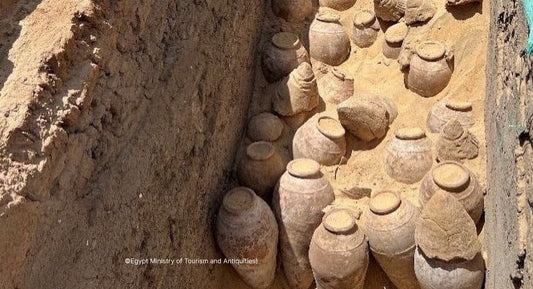 D.B. : " 5,000-year-old intact wine jars discovered "