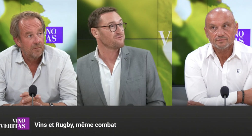 T.V. : " [REPLAY] « Vino Veritas » : vin et rugby, même combat "