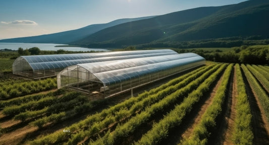 F.V. : " Face au fléau des insectes, Champagne, Bourgogne et Beaujolais créent une impressionnante serre bioclimatique commune "