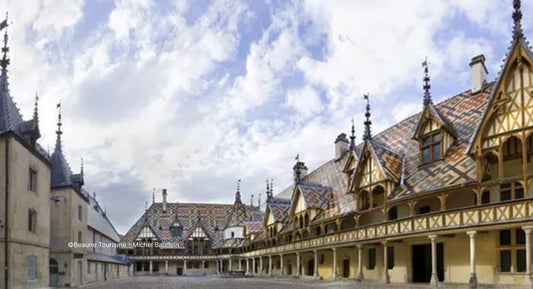 F.V. : " Vente des Hospices de Beaune : un fût fabriqué dans un chêne de la flèche de Notre-Dame "