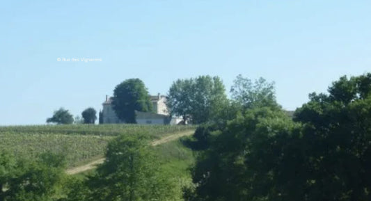 W.S. : "Bordeaux En Primeur: Right Bank Rockers"