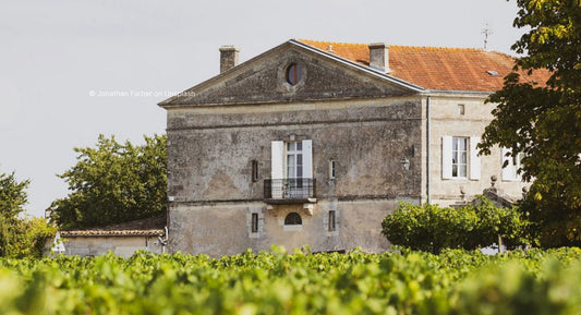 D. "French winemakers renew battle with mildew in 2024"