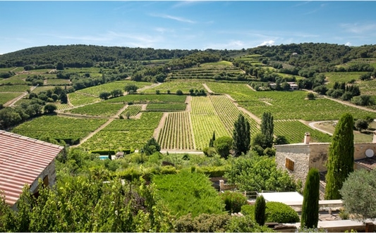 Les Echos : «  Pourquoi le rosé peut aussi être un grand vin »