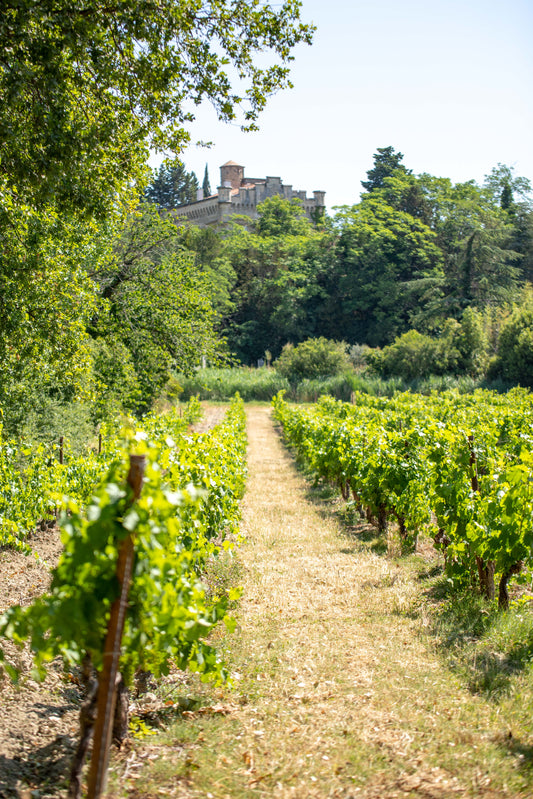 R.V.F. : " Ils se sont offert un vignoble : huit retours d'expérience "