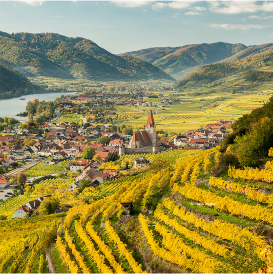 Travel Awaits : " 9 Lesser-Known Wine Regions You Should Visit Around The World "