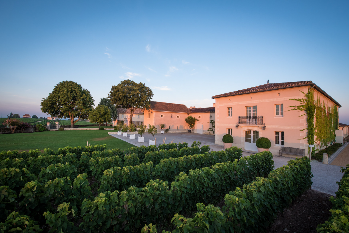 CHATEAU CANON