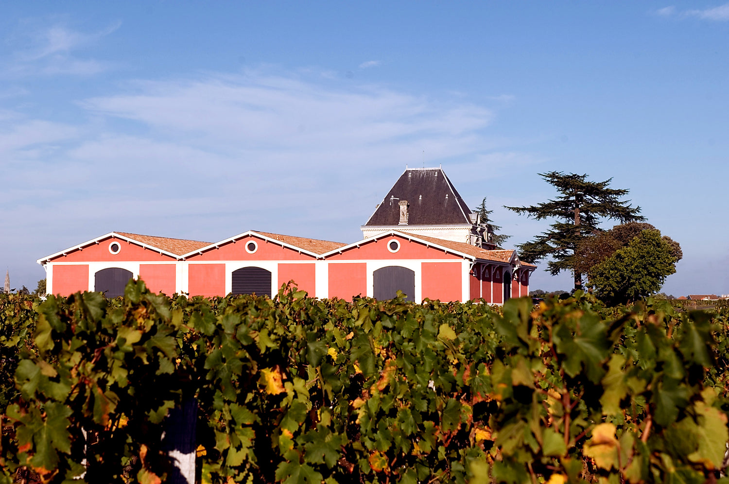 CHATEAU L'EVANGILE