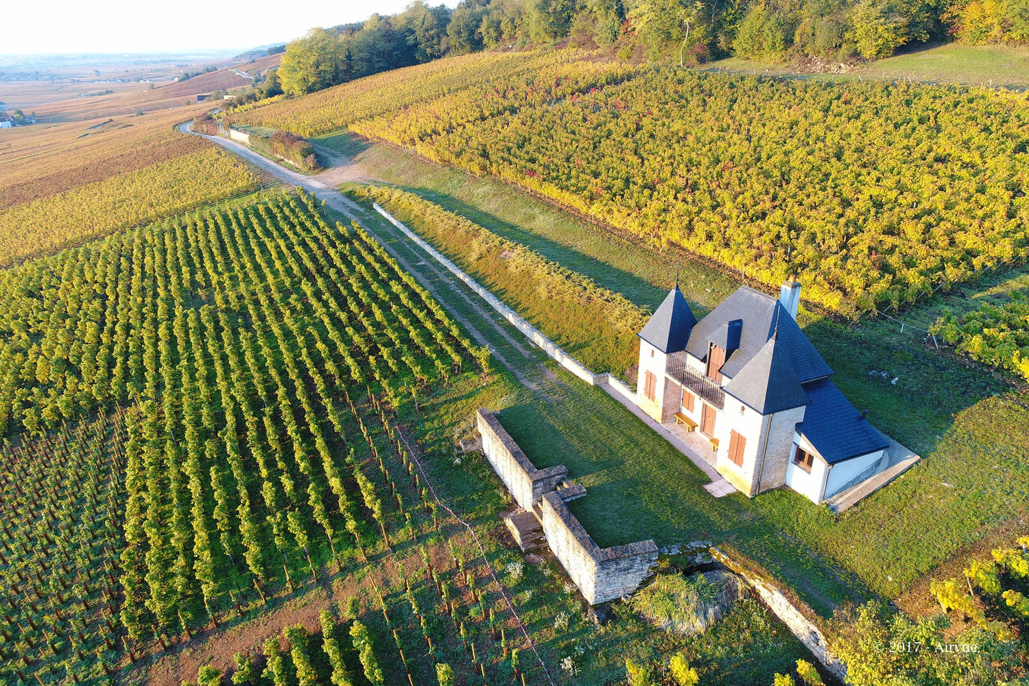 DOMAINE PONSOT (BLANC)