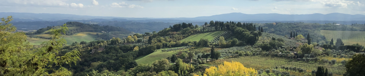 Vins Étrangers