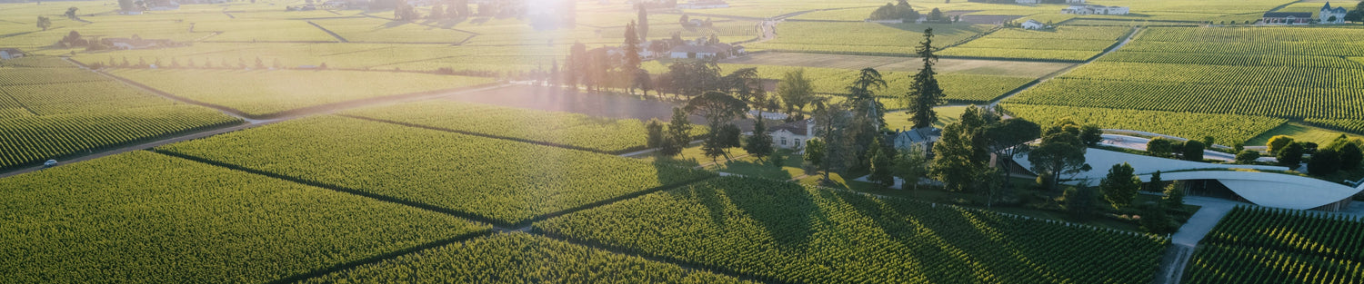 Primeurs Pessac-Léognan