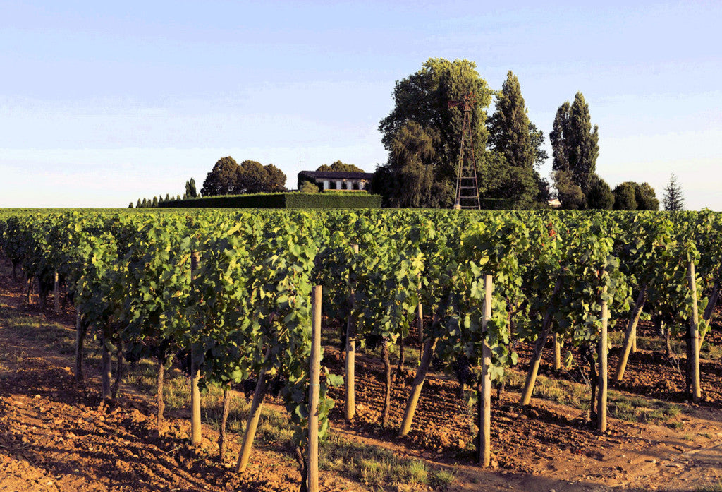 CHATEAU TROTANOY