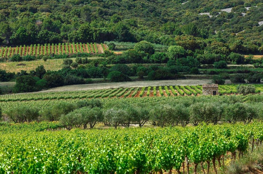 GRANGE DES PERES