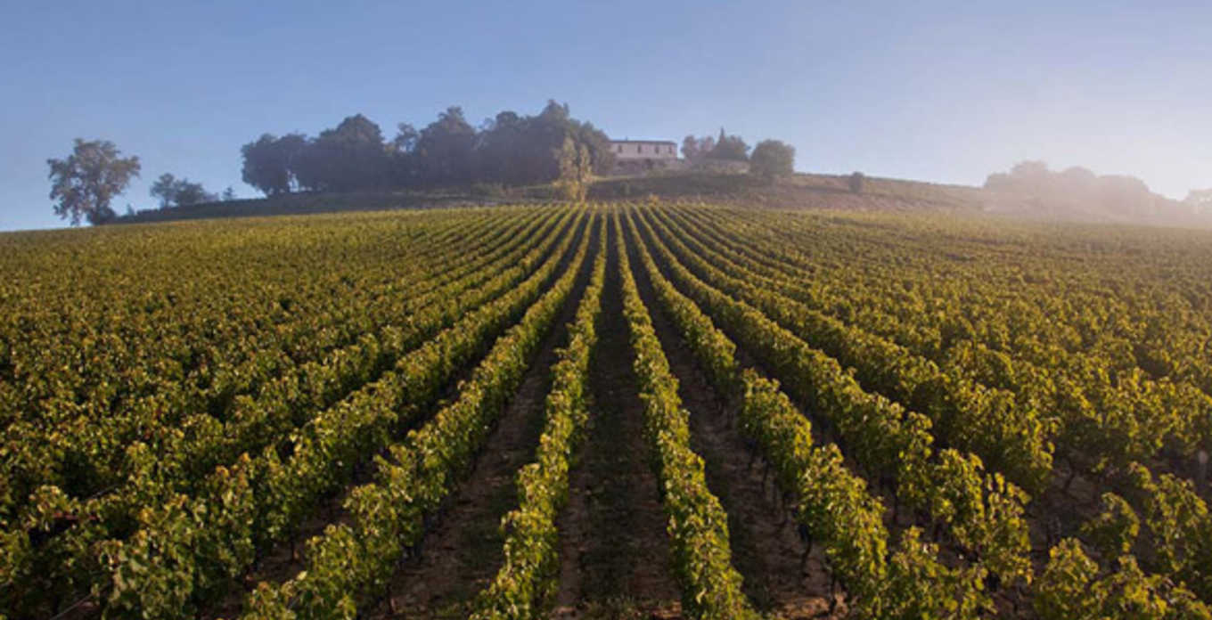 CHATEAU QUINTUS