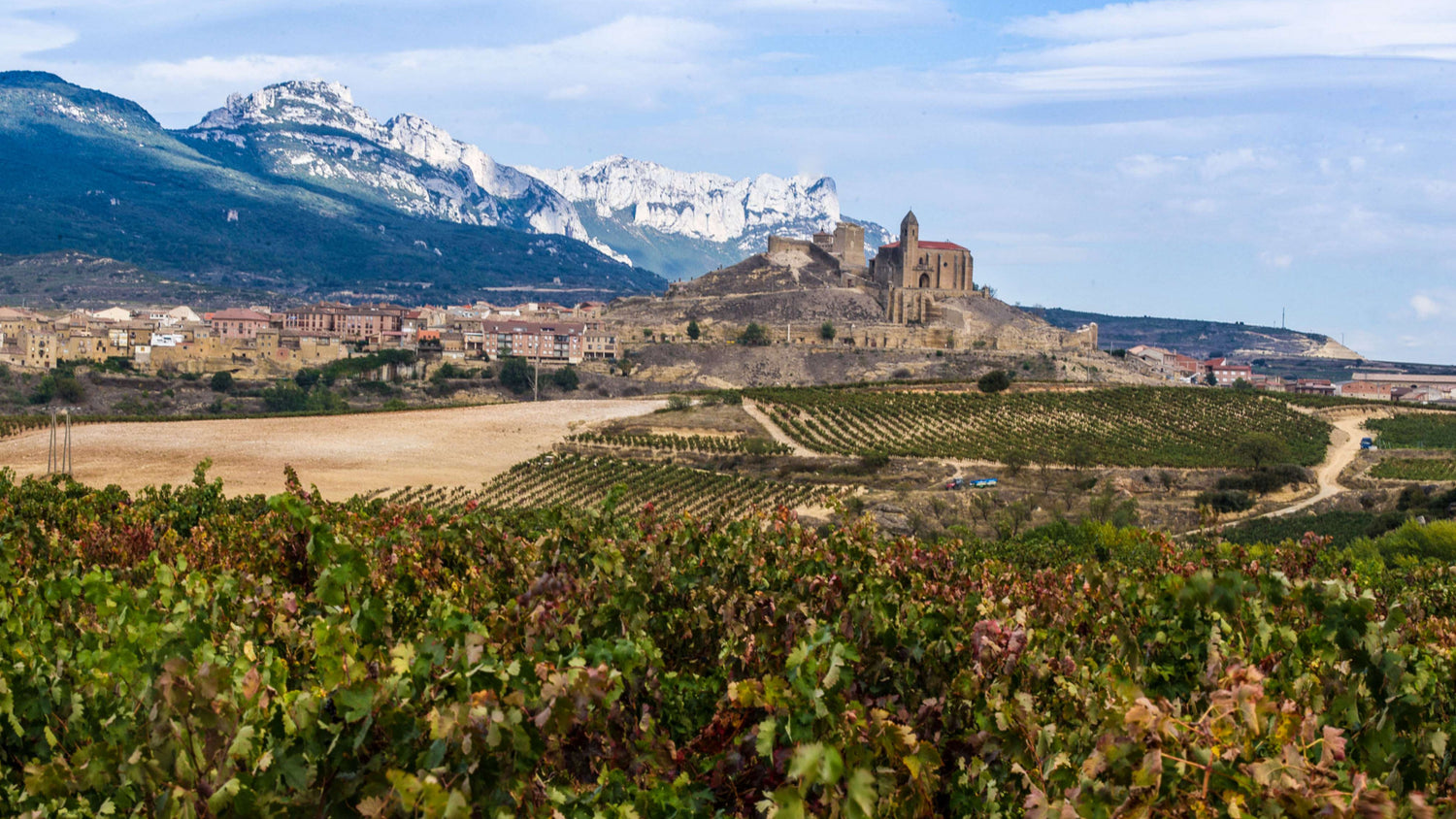 VEGA SICILIA